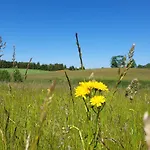 Przytulny W Brajnikach 86 37 Jedwabno