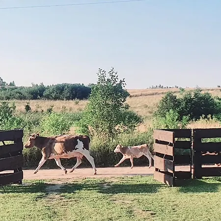 Przytulny W Brajnikach 86 37 度假居 *