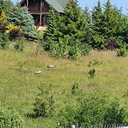 Przytulny W Brajnikach 86 37