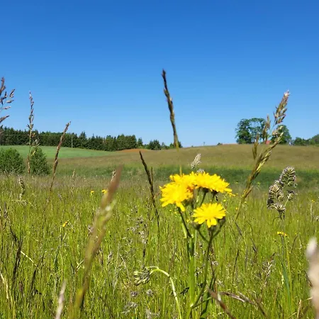 Przytulny W Brajnikach 86 37 Jedwabno